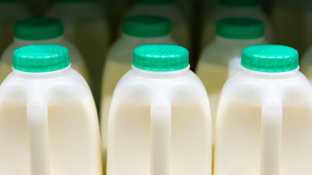 A restaurant assured a severely allergic teenager that his meal didn't contain dairy — then he died of anaphylactic shock