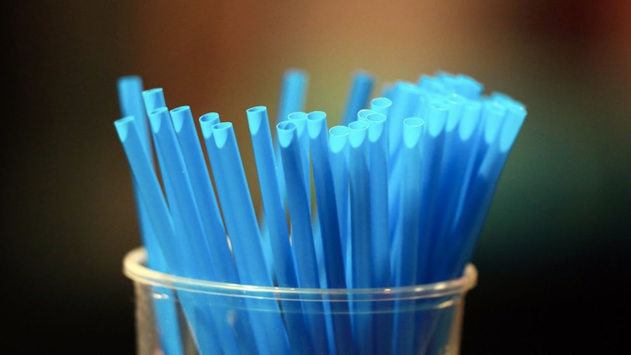 LA official who dreamed up plastic straw restriction says smoothie drinkers don't need straws: 'Just have them blend it a little thinner'