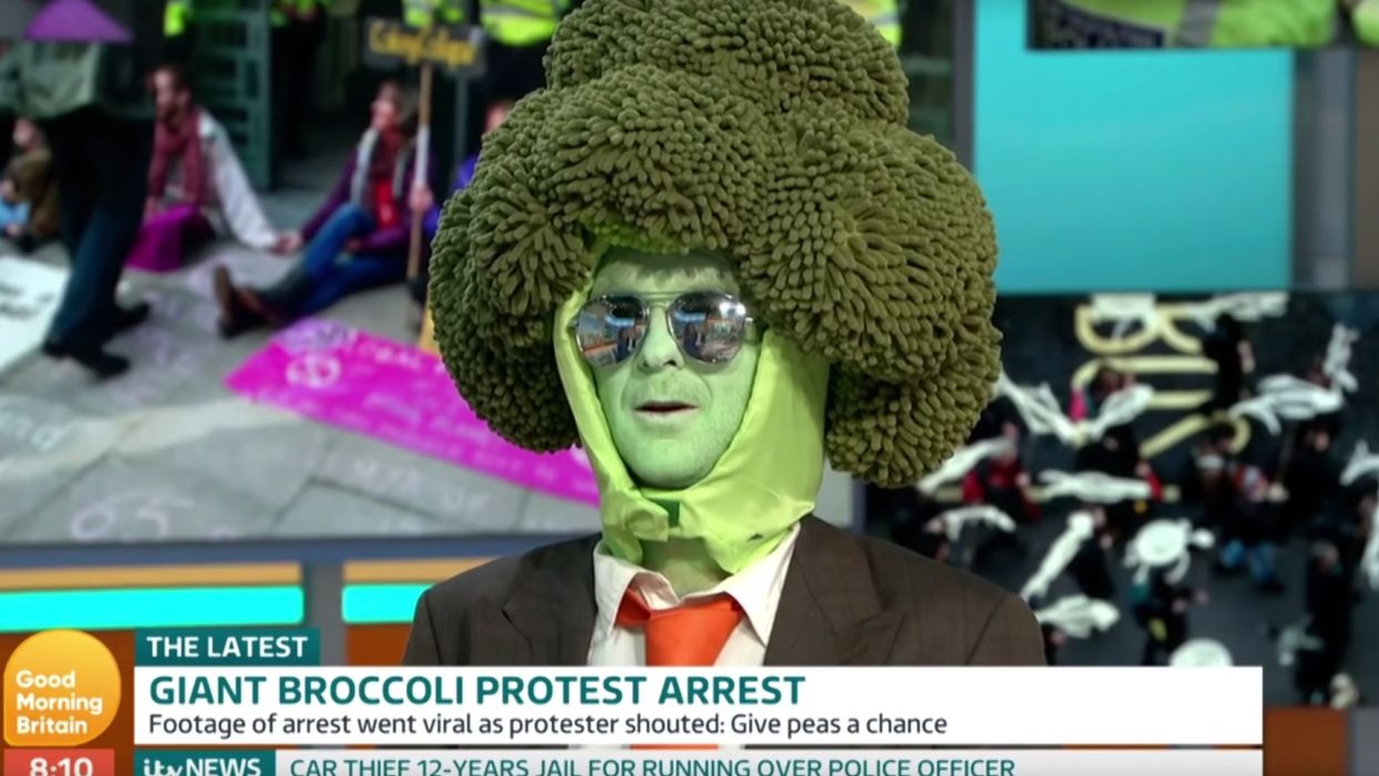 Piers Morgan shreds Extinction Rebellion activist on live TV during bizarre exchange