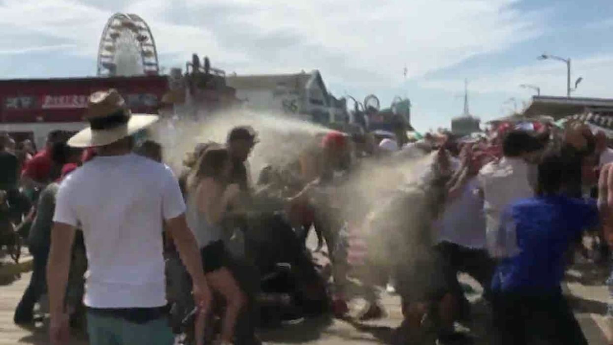 Man in MAGA hat arrested after allegedly using bear spray in scuffle when anti-Trump protesters surrounded smaller pro-Trump group