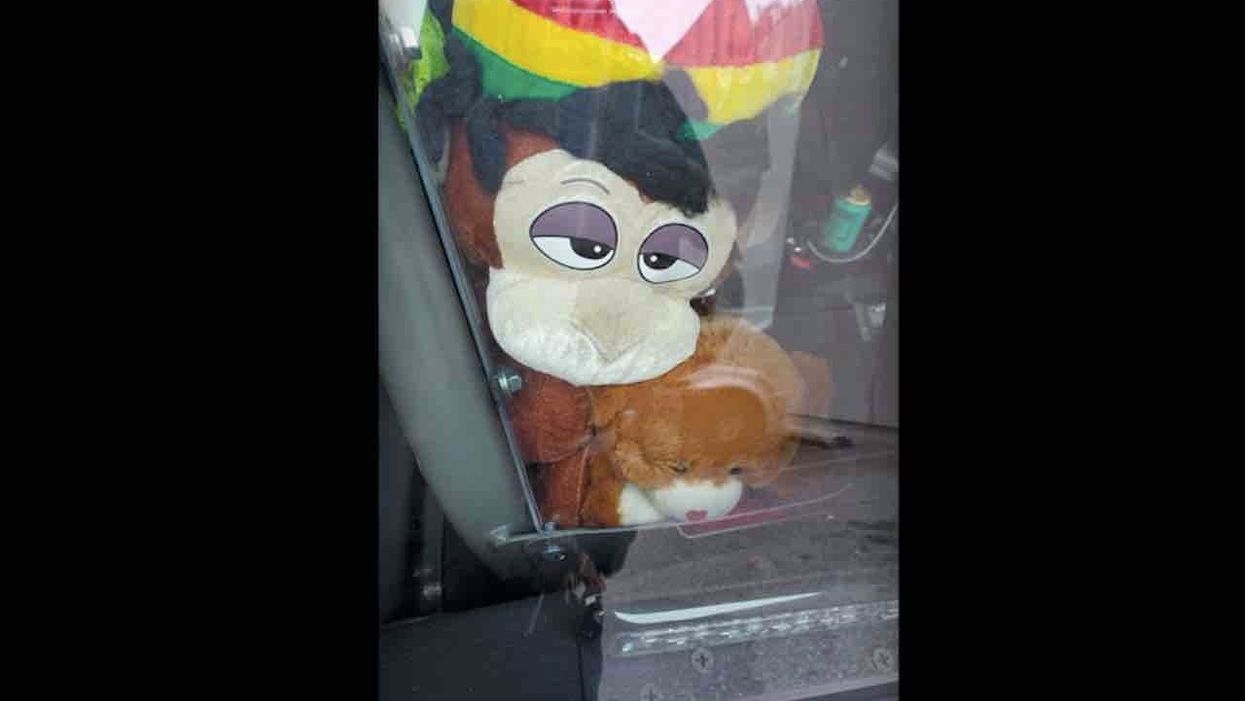 'The most racist thing I have ever seen': Woman livid over toy monkey with dreadlocks in police car. But chief says it isn't racist.