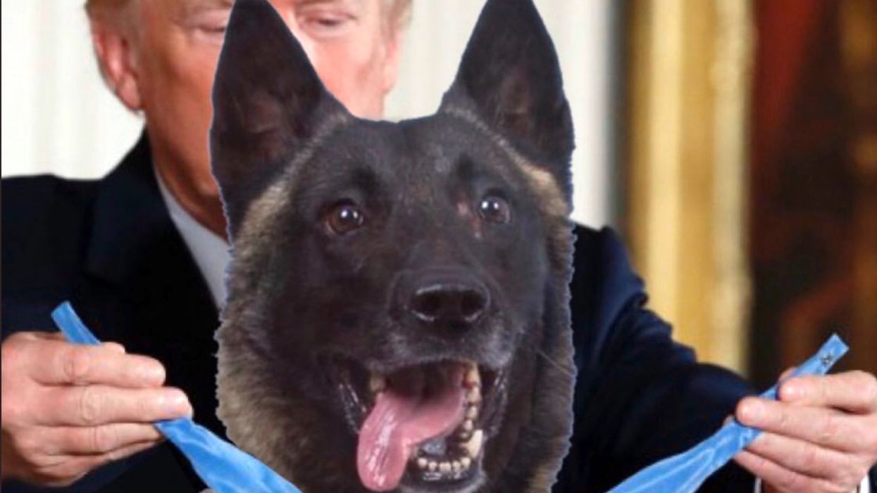 Trump tweets photoshop of military dog being awarded the Medal of Honor, and the internet is in full meltdown mode