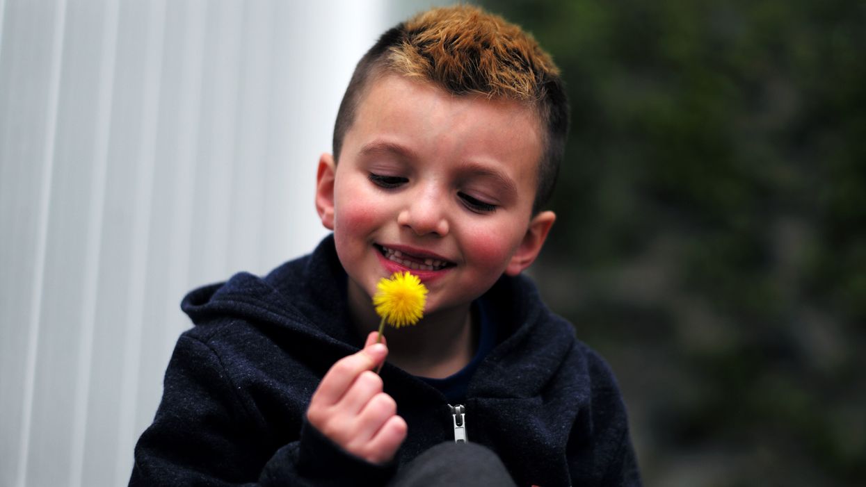 Report: Trans kids who live as preferred gender act, develop similarly to cisgender children