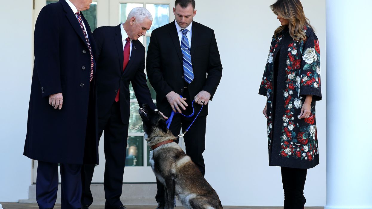 'Fantastic job': President Trump honors hero military dog from Baghdadi raid at White House