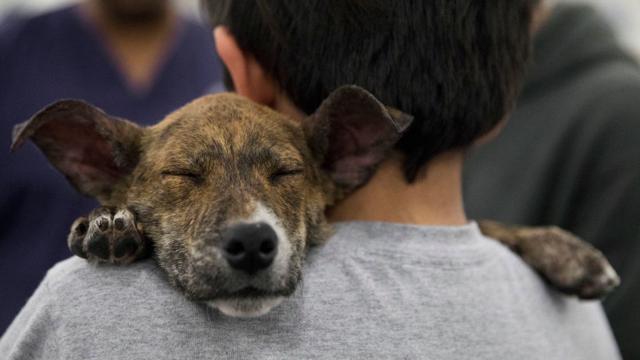 President Trump will sign a bill making animal cruelty a federal felony