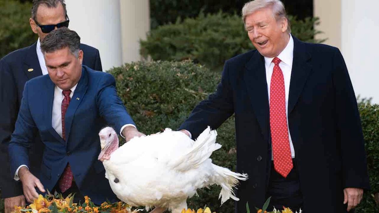 Far-left PETA actually urges people to 'be more like Trump' — at least when it comes to pardoning turkeys