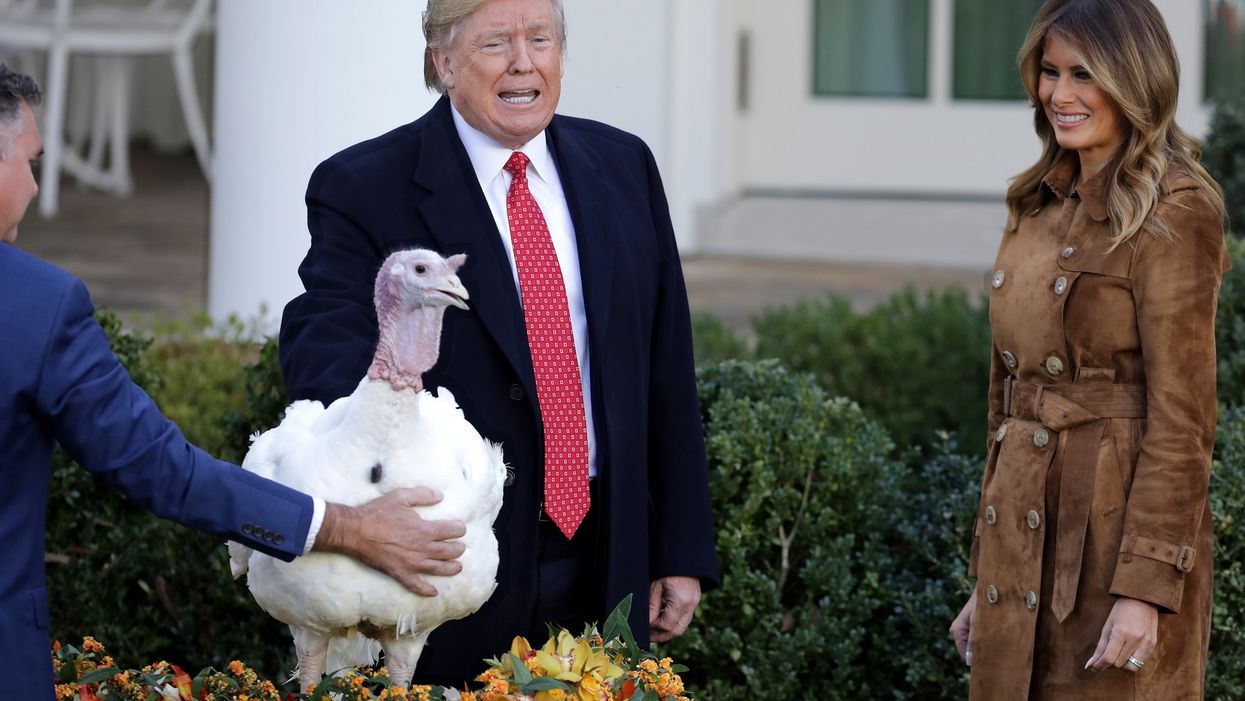 President Trump jokes pardoned Thanksgiving turkeys 'already received subpoenas' from Adam Schiff