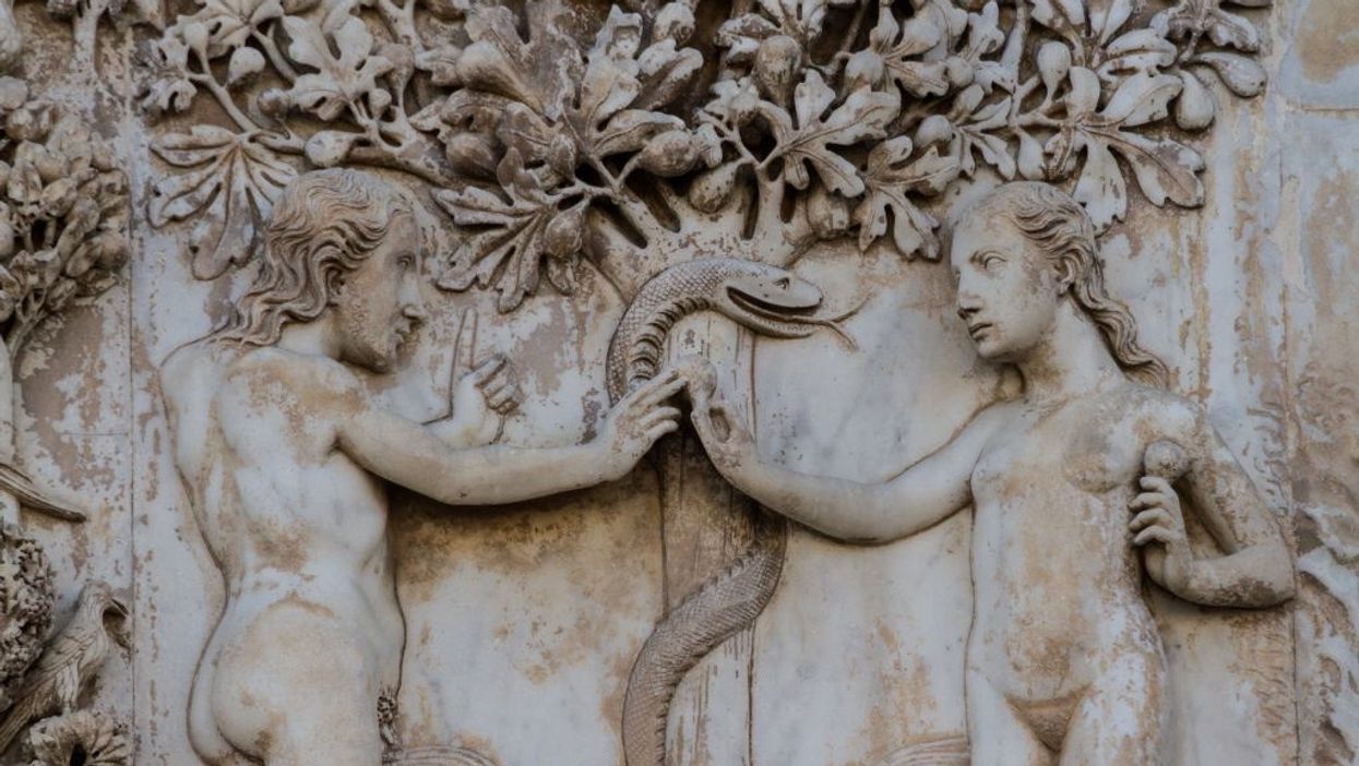 Newly discovered fossils show snakes had legs — is this a win for the Bible?