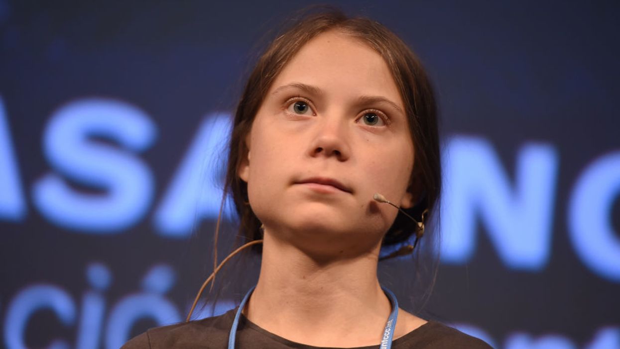 Greta Thunberg 'ignored' by world leaders at climate summit, admits protests have achieved 'nothing'