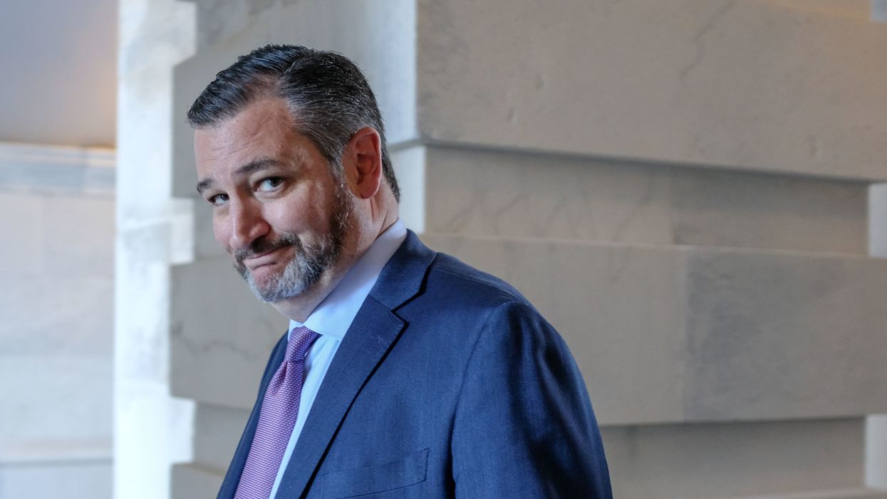 'It's been hysterical to see the media screaming': Ted Cruz says MSM 'panicking' over Democrats' failing impeachment