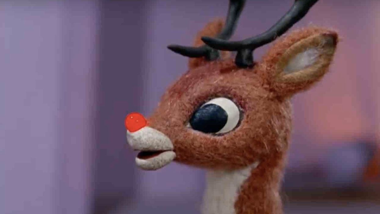 Transgender writer for NY Times rips conservatives who don't view 'Rudolph' as 'queerest holiday special ever'