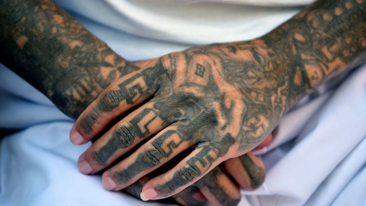 Largest takedown in state history — New York prosecutors charge 96 MS-13 gang members and associates