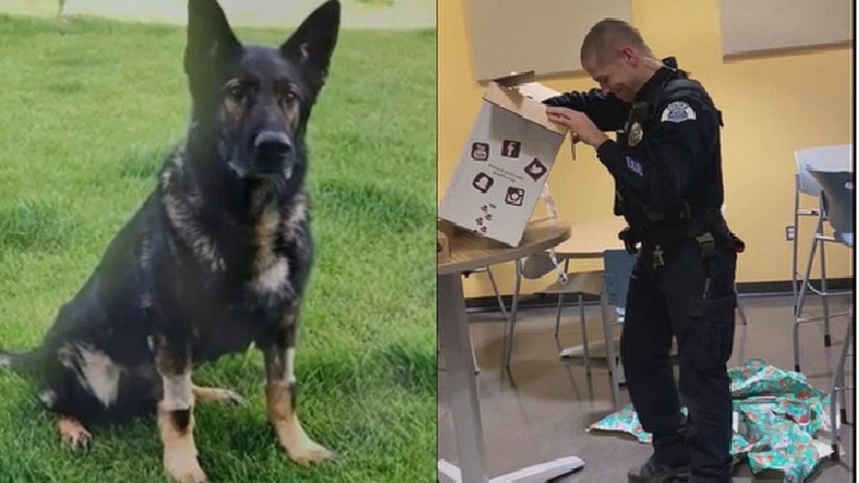 Watch: Officer brought to tears by gift in memory of fallen K-9 partner