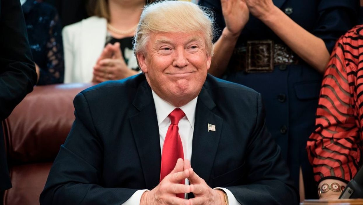 Obama's campaign manager explains why running against Bernie Sanders would be great for Trump in 2020