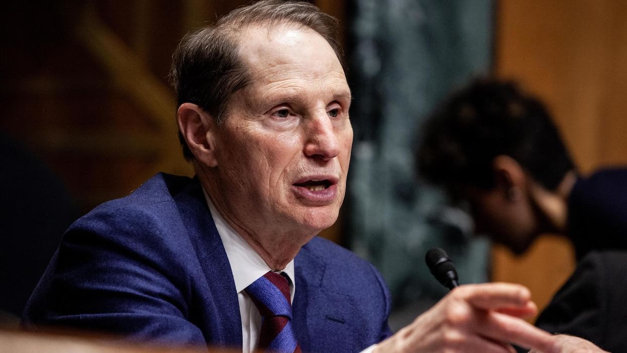 Democratic senator asks DOJ and FBI to not cooperate with colleagues' Ukraine-Chalupa probe