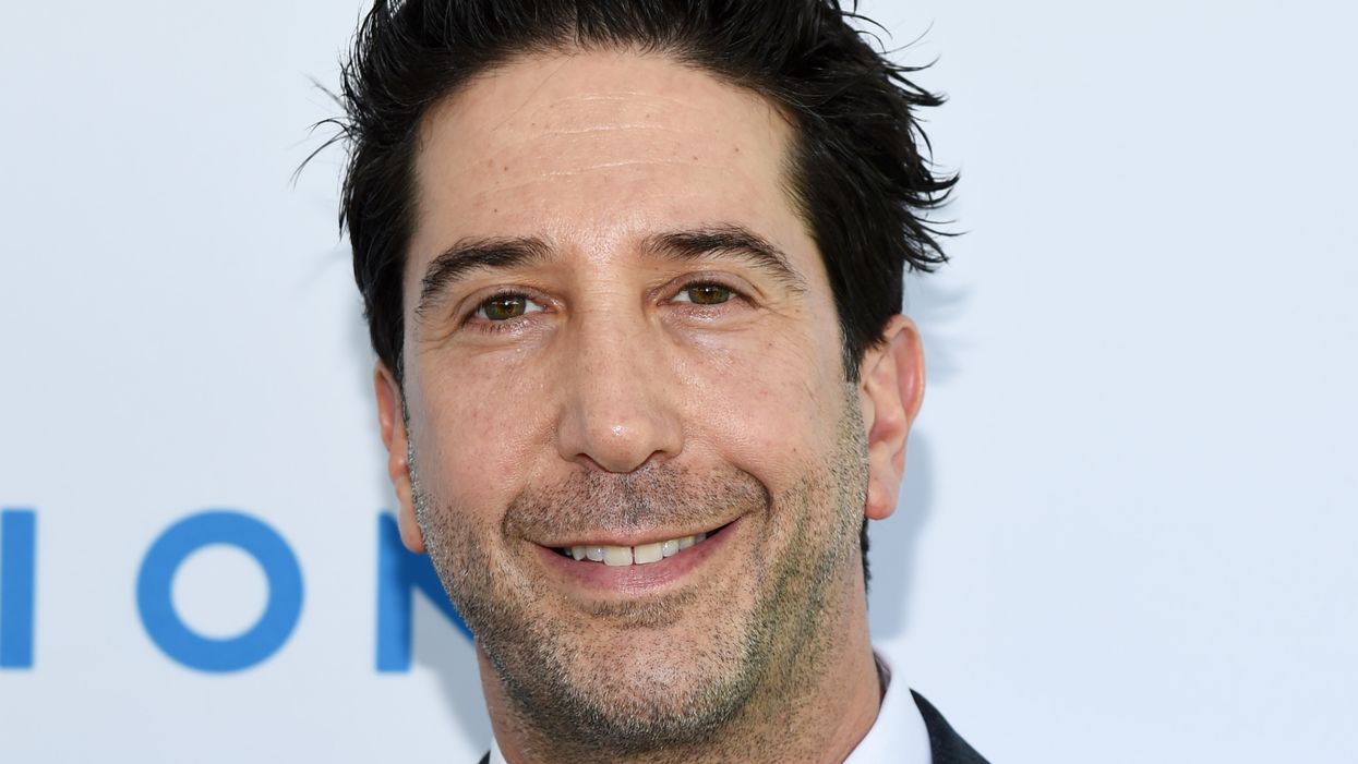 'Friends' actor David Schwimmer says he's 'very aware' of 'privilege as a heterosexual white male,' says 'Friends' should reboot with all-black or all-Asian cast