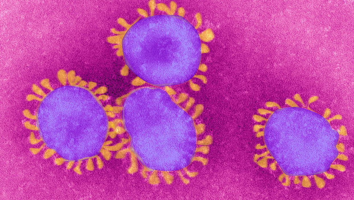 Top Hong Kong medical expert predicts more than half the global population will contract coronavirus