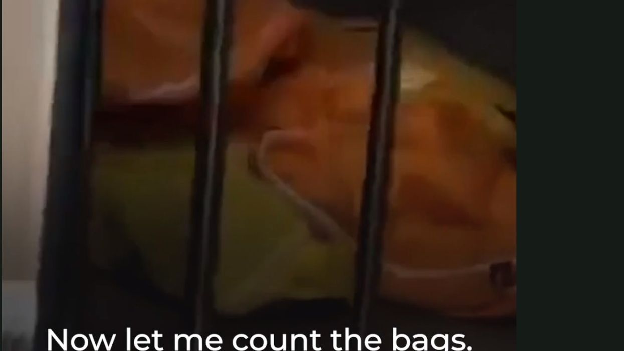 Shocking whistleblower videos suggest China is lying about coronavirus death toll