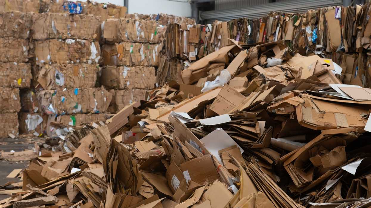 Authorities discover bodies of 2 dead babies at NJ recycling facility