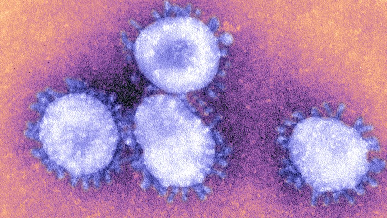 Coronavirus has officially made its way to east coast, health officials confirm