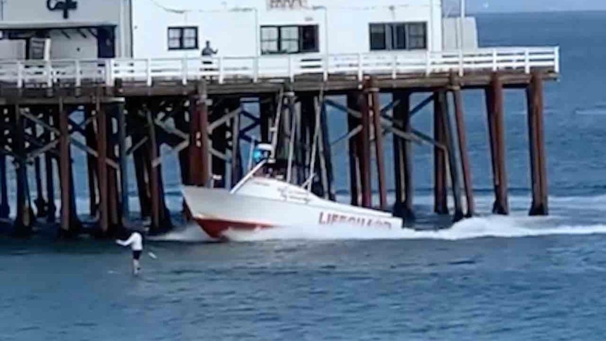 Disobedient paddleboarder chased by patrol boats, arrested by sheriff's deputies for defying Calif. Democratic governor's stay-at-home order