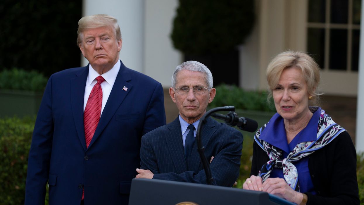 Woman who blamed Trump for her husband's chloroquine death is Dem donor who was once charged with domestic abuse in divorce argument