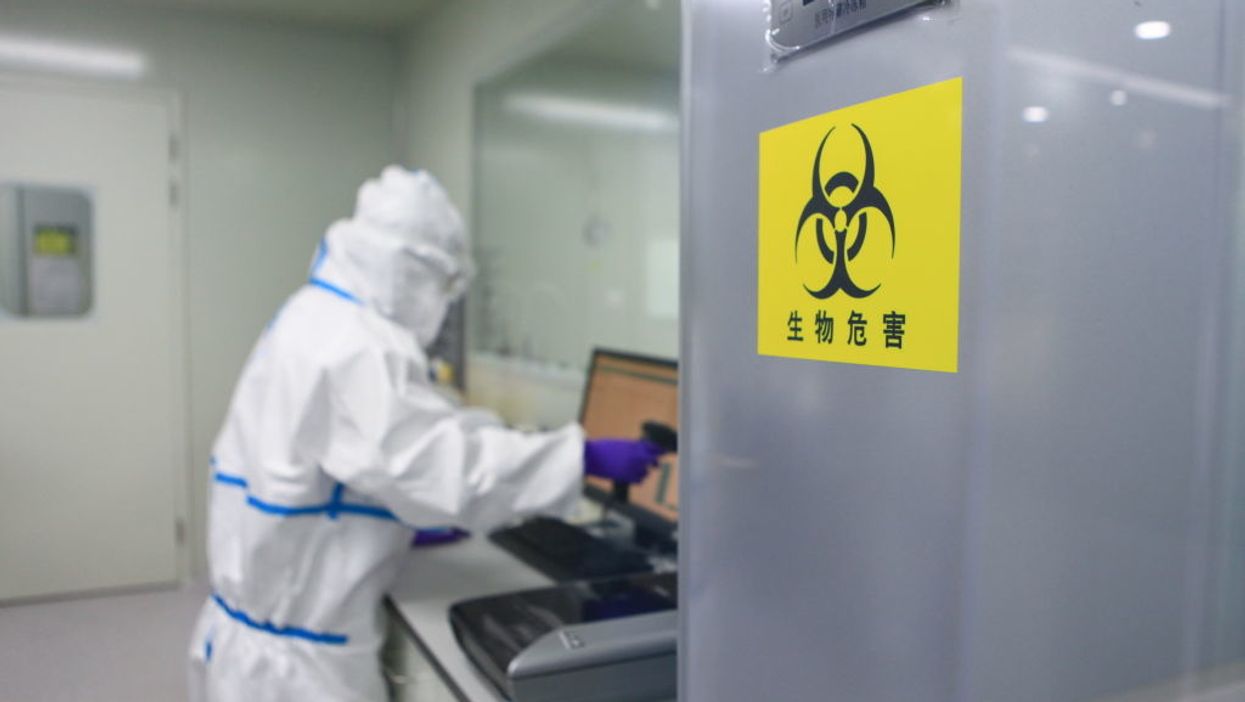 New evidence suggesting COVID-19 came from a Wuhan virology lab is hard to ignore