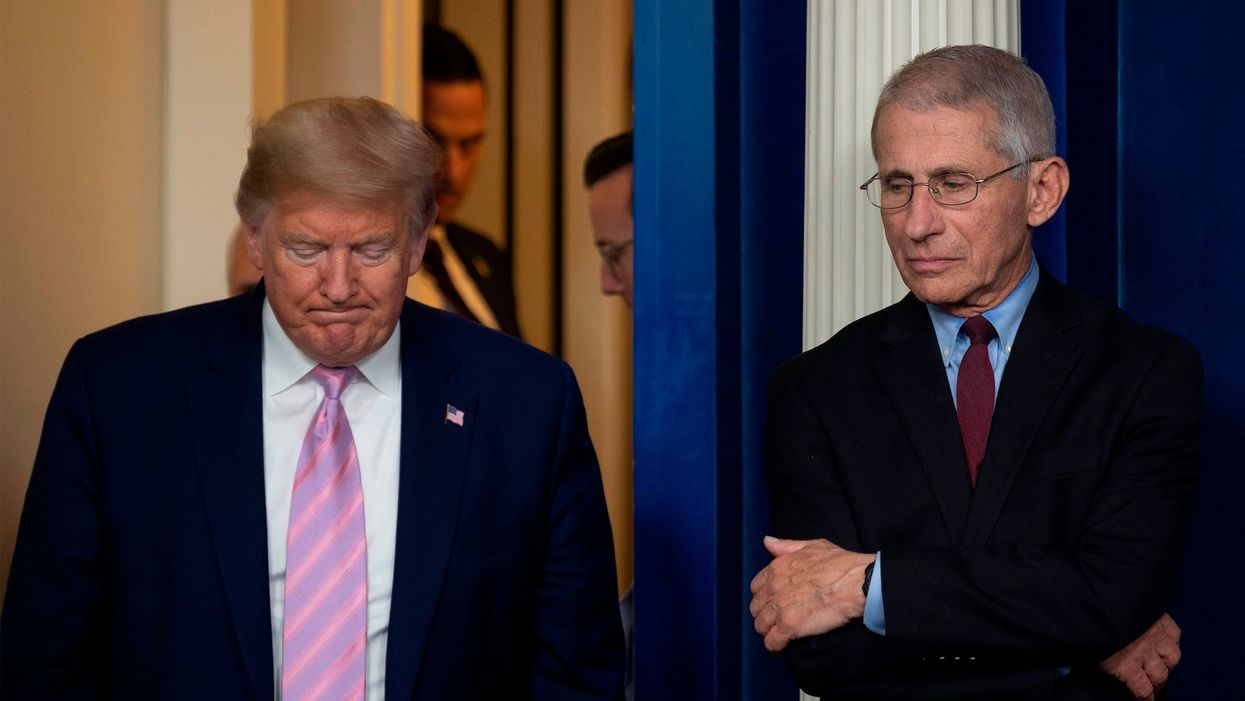 President Trump warns 'there will be a lot of death' in the next two weeks: 'Going to be very horrendous'