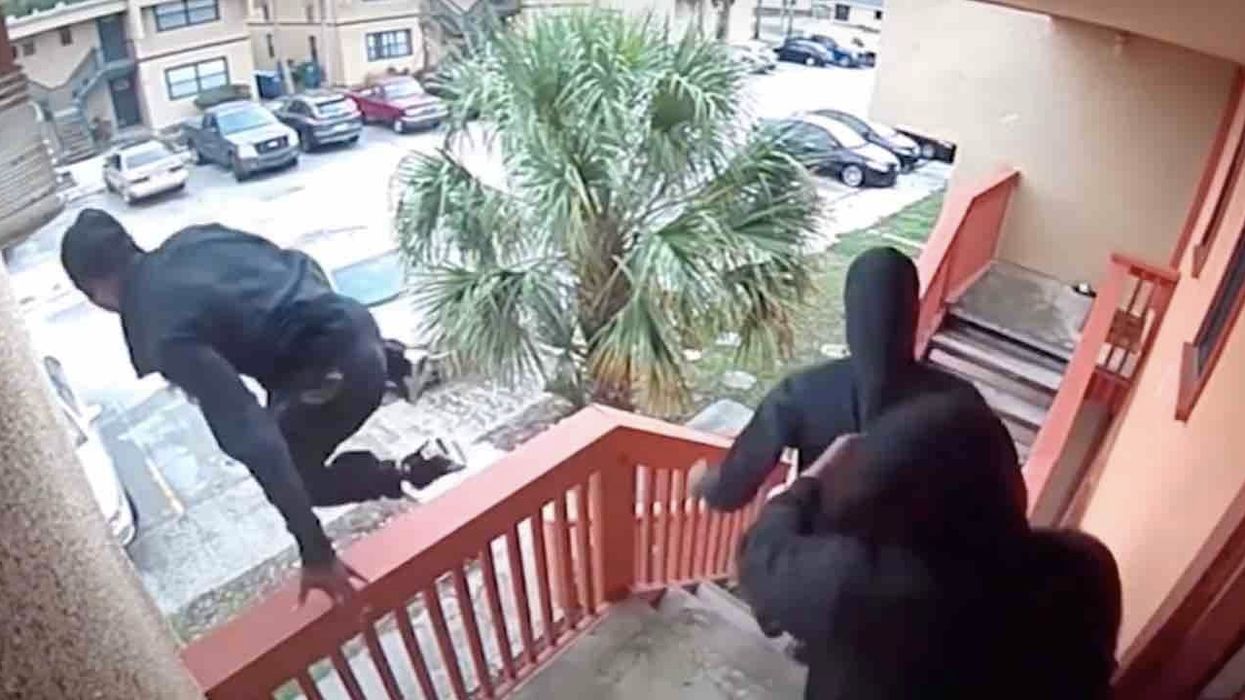 Crooks bust into apartment in broad daylight but quickly turn tail and run — one jumping a second-floor balcony — when resident opens fire