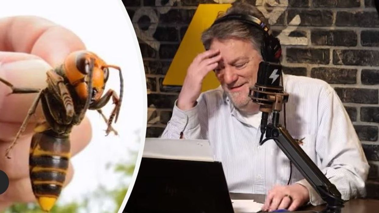 Pat Gray: Look at the size of that thing!