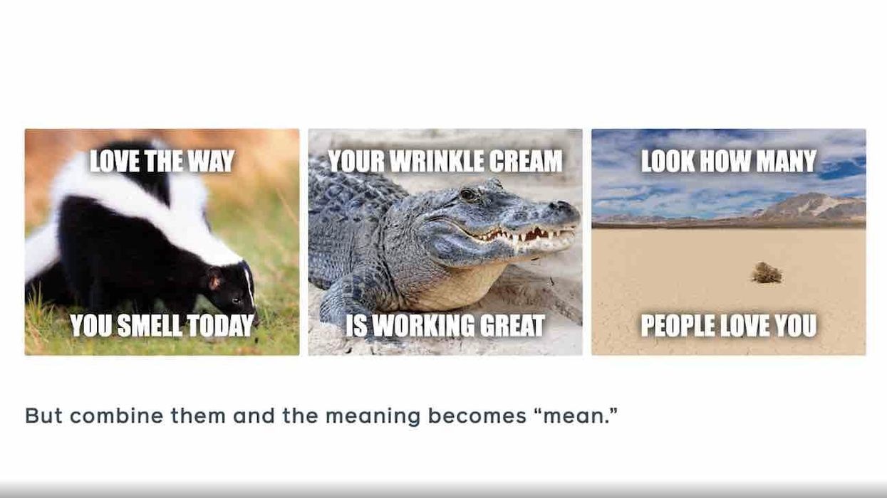 Facebook wants to erase 'Hateful Memes' from its platform — and is offering $100,000 in prizes for those who can help