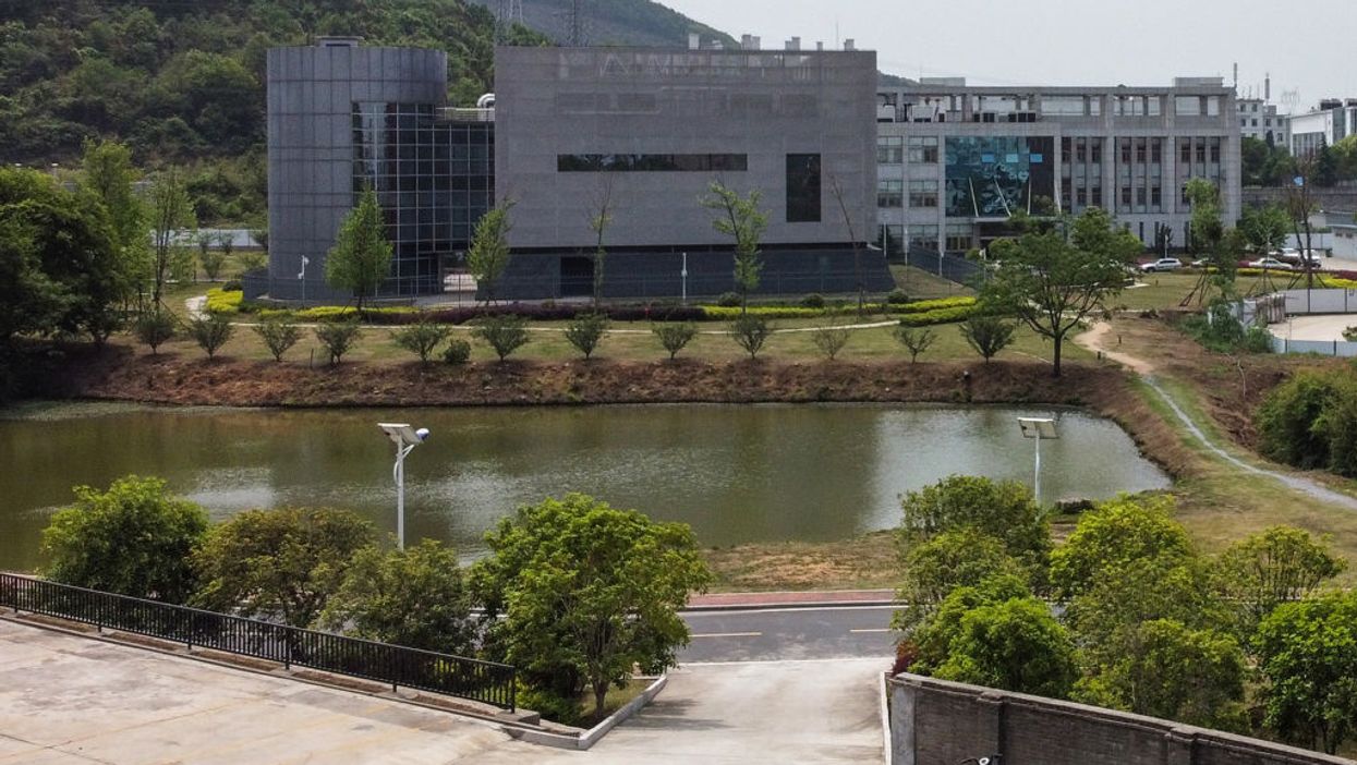 Infamous Wuhan lab admits having three live strains of bat coronavirus on-site