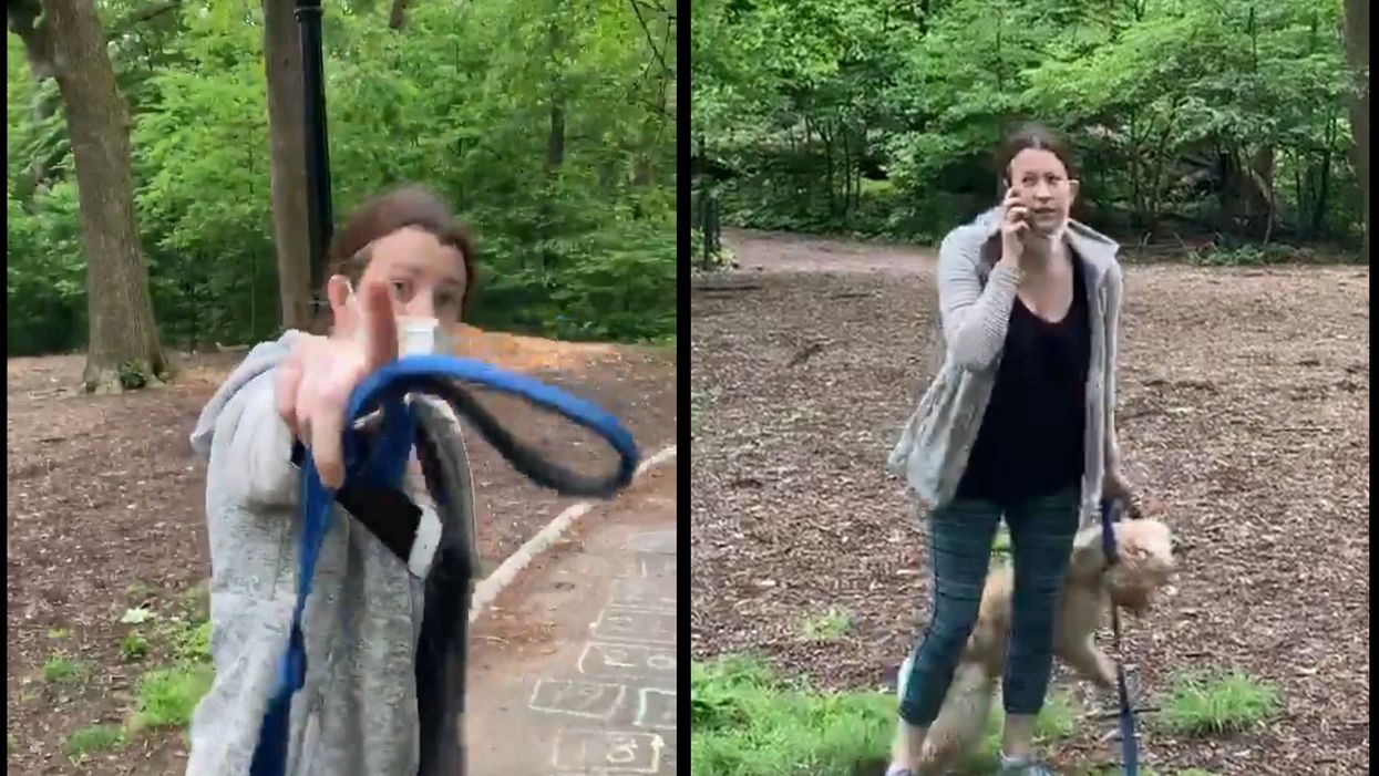 Video of white woman calling police on black man in Central Park goes viral and her dog gets taken away