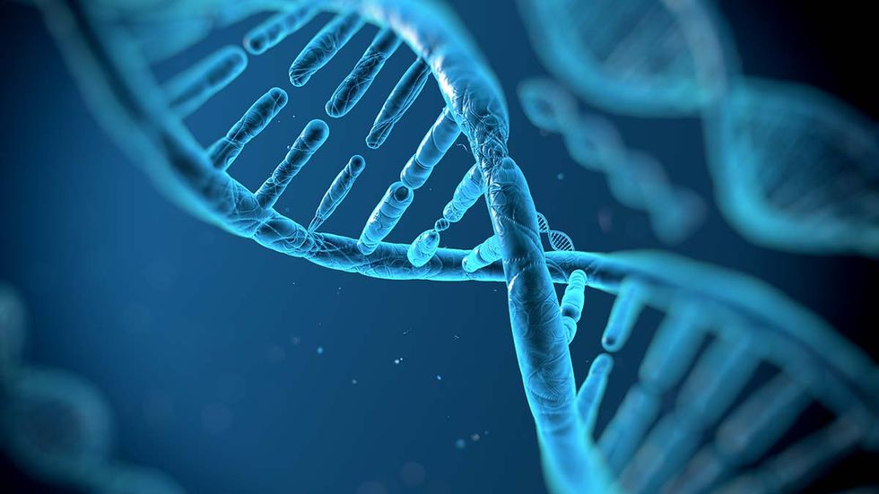Malkin: Forensic nightmare: The perils of touch DNA