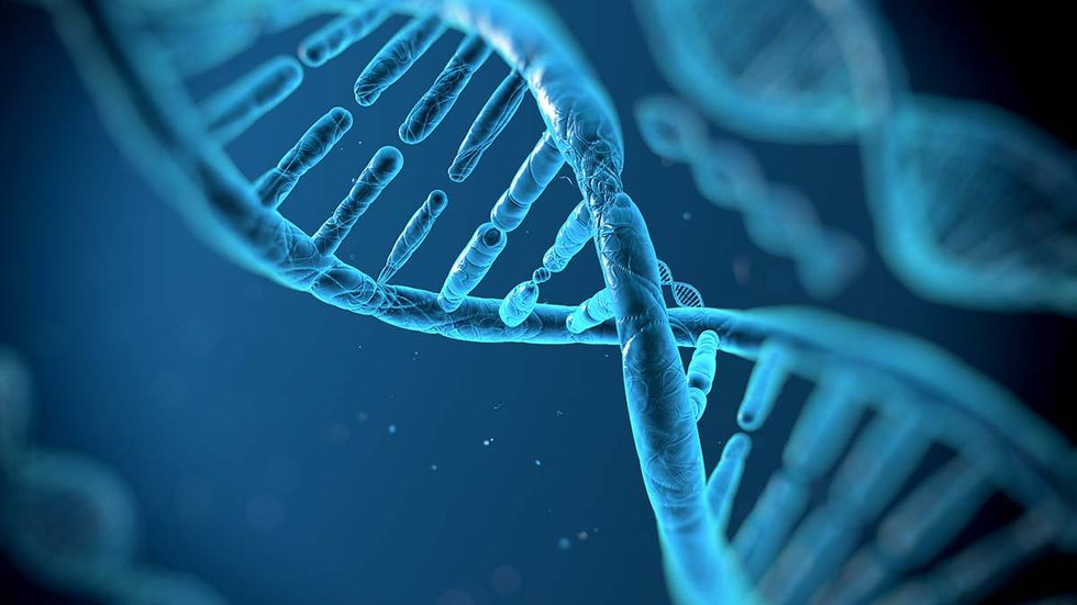 Malkin: Forensic nightmare: The perils of touch DNA