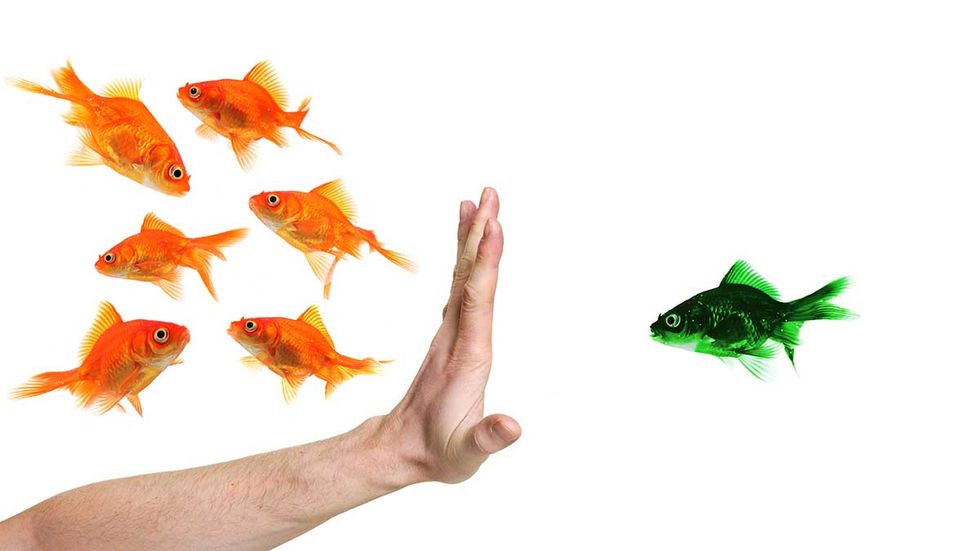 Racism is only racism if it comes from groups the Left hates