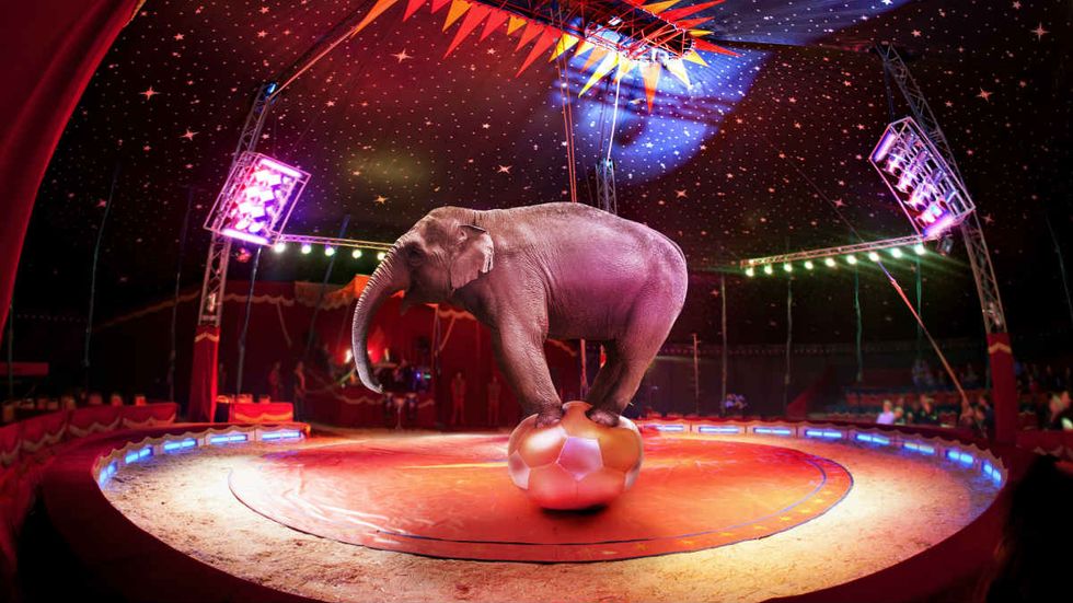ICYMI: Winner, winner prison dinner! (And the Comey Circus)