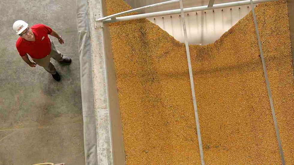 Trump’s EPA keeps venture socialist ethanol mandate in full force