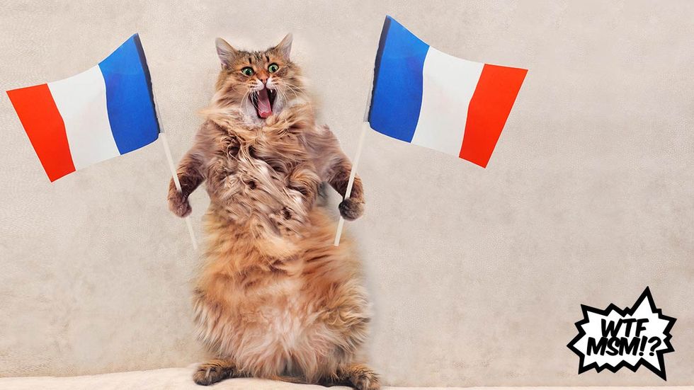 CNN journo thinks Bastille Day commemorates WWI