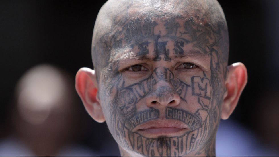 Report: ICE plans MAJOR gang crackdown with nationwide raids