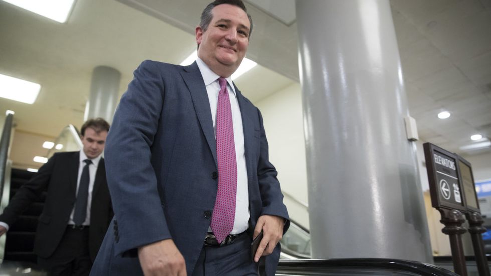 Ted Cruz explains his tweets: That ‘numbskull’ ‘ticked me off’