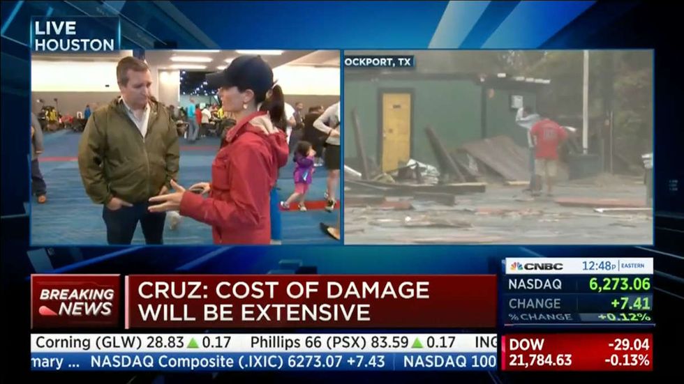 Cruz vaporizes dishonest slime from establishment toad Peter King