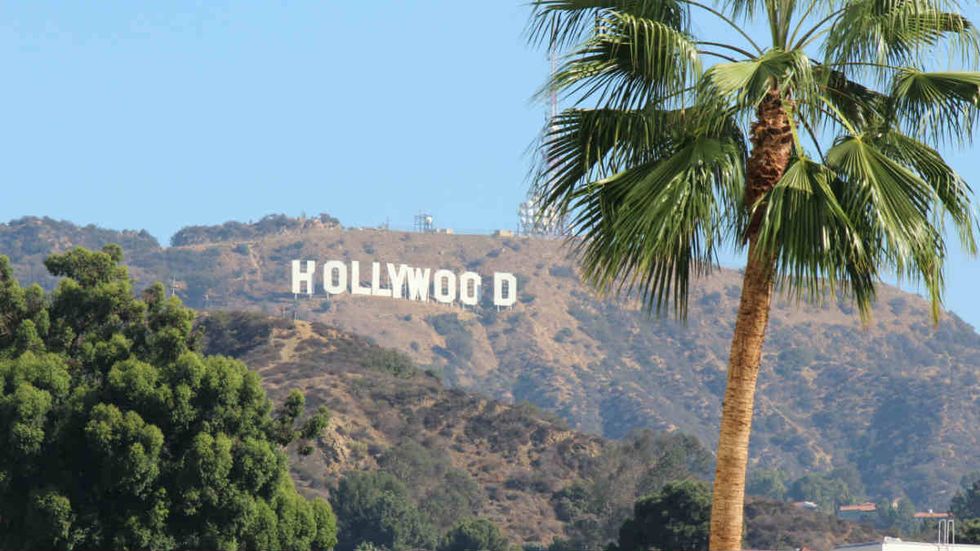 Levin: Hollywood ‘frauds’ silent on Weinstein for years