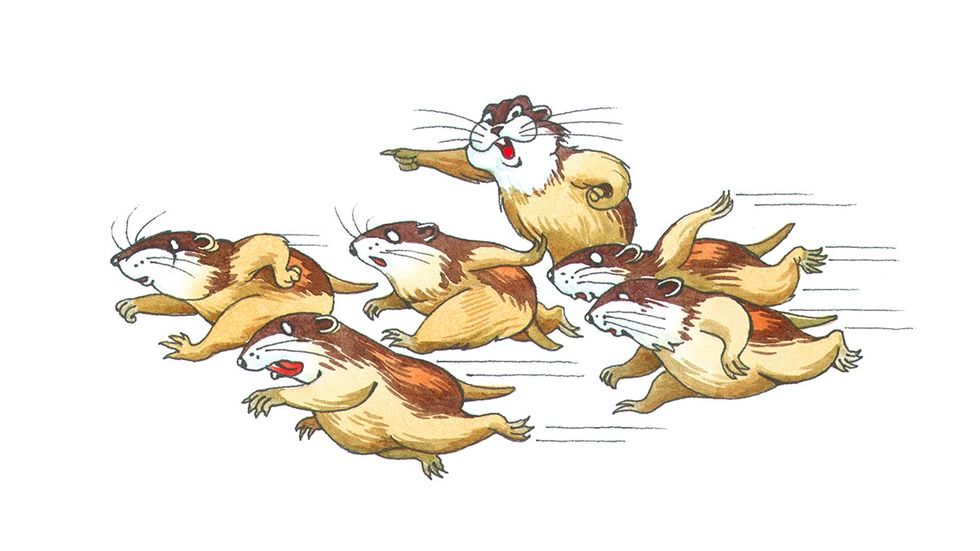 The media are a horde of intellectually incurious lemmings