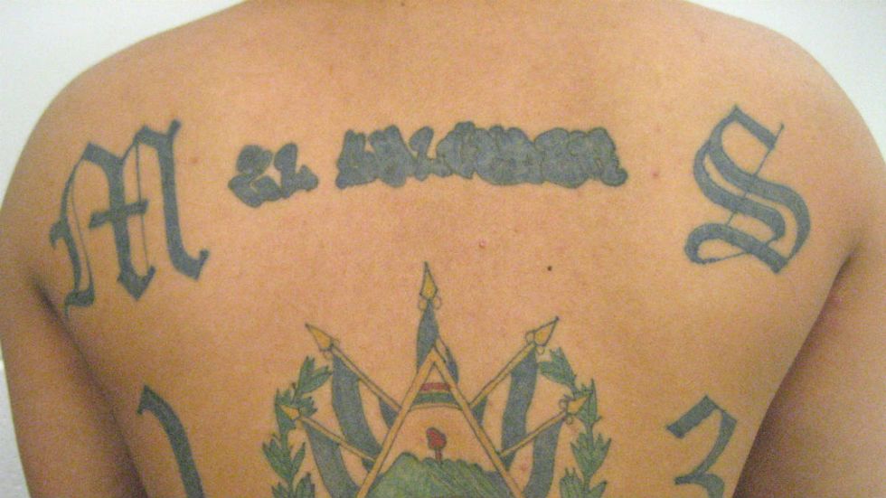 ‘These ANIMALS’: Anyone DEFENDING MS-13’s humanity needs to read this thread RIGHT NOW