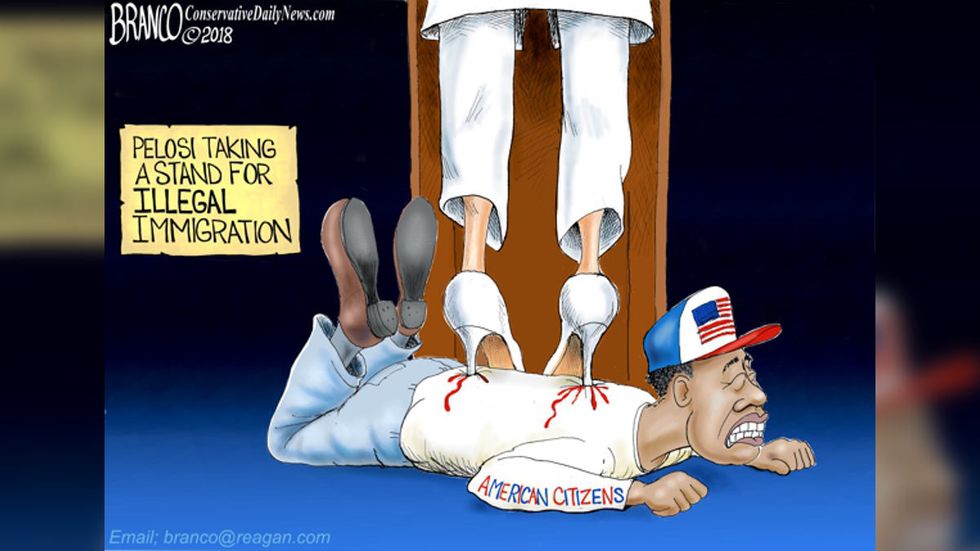 Conservatoons: Nancy Pelosi's priorities