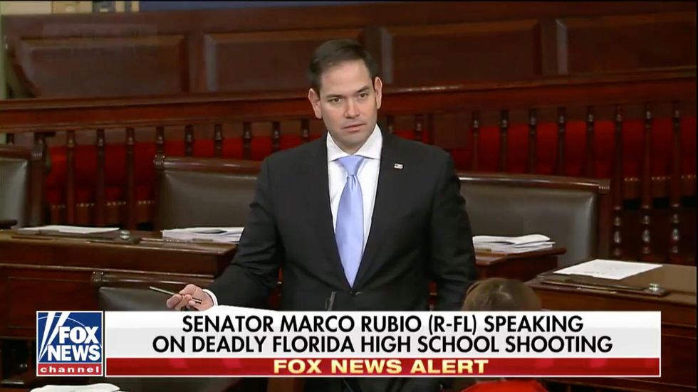 Watch: Marco Rubio explains why doing 'something' to stop gun violence isn't enough