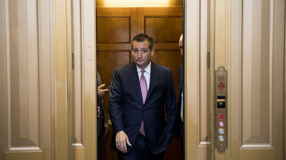 Ted Cruz blasts amnesty-first Republicans, demands they listen to the voters