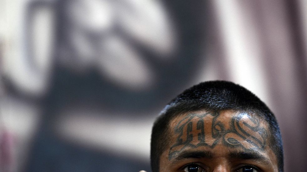 Pack of MS-13 illegal aliens released by judge stab 16-year-old