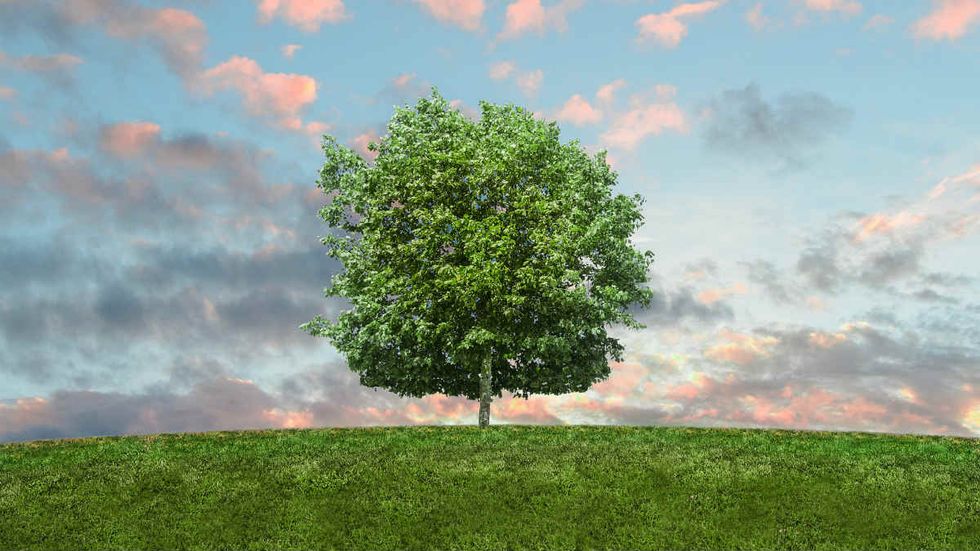 Malkin: Jahi's life mattered